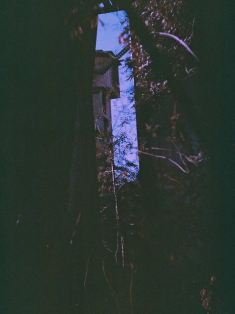 📸